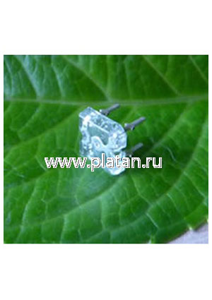 BL-FL7600BGC, Светодиод "Пиранья" зеленый 100" 4000мКд 505нМ (Ultra Bluish Green)