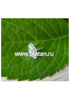 BL-FL760RUGC, Светодиод "Пиранья" зеленый 160" 700мКд 574нМ (Ultra Green)